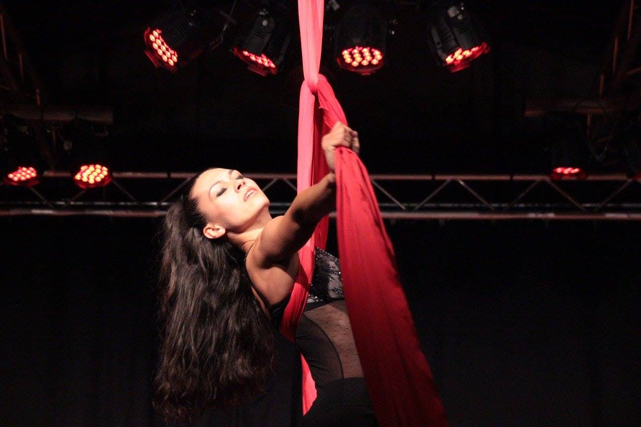 Galeriebild für Aerial Silks