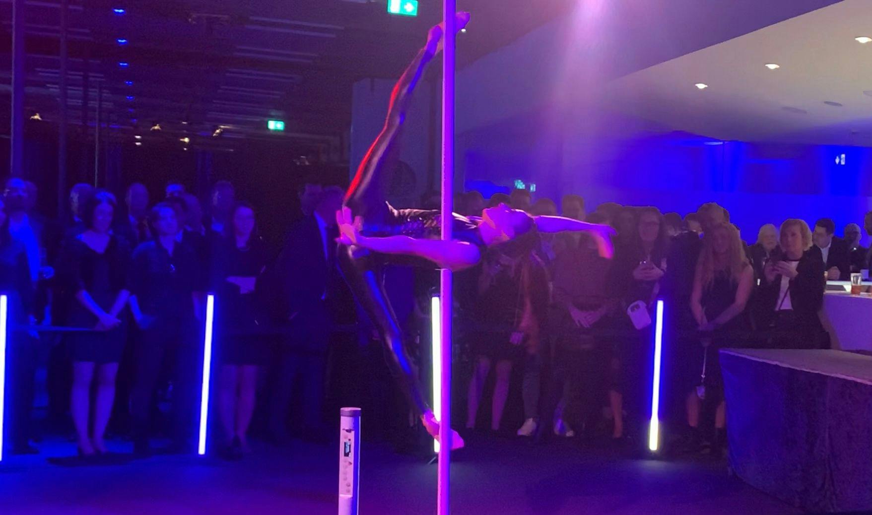 Galeriebild für Poledance à la Vorona