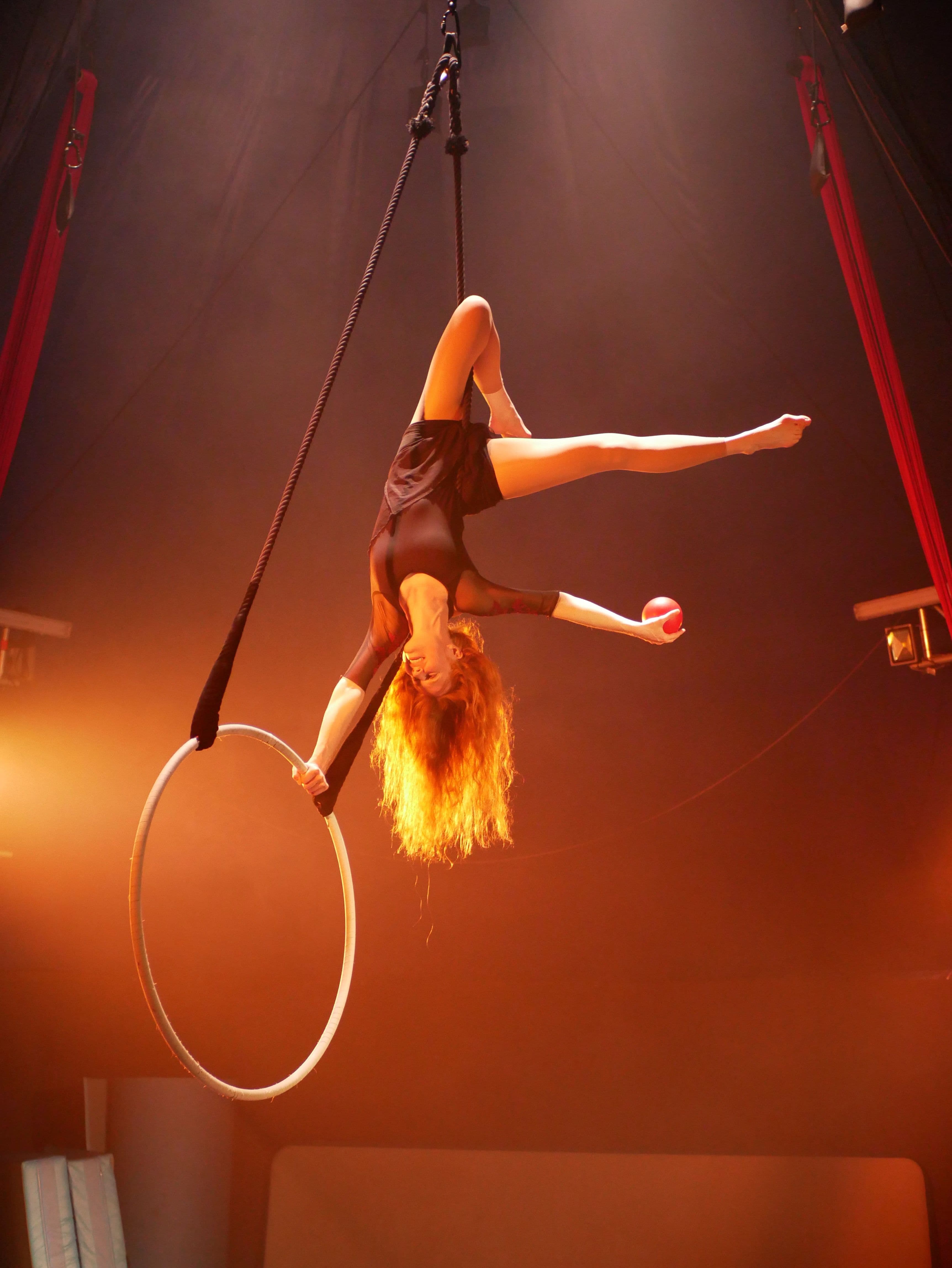 Galeriebild für Aerial Hoop