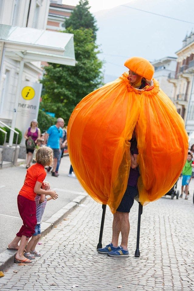 Galeriebild für NARANJA