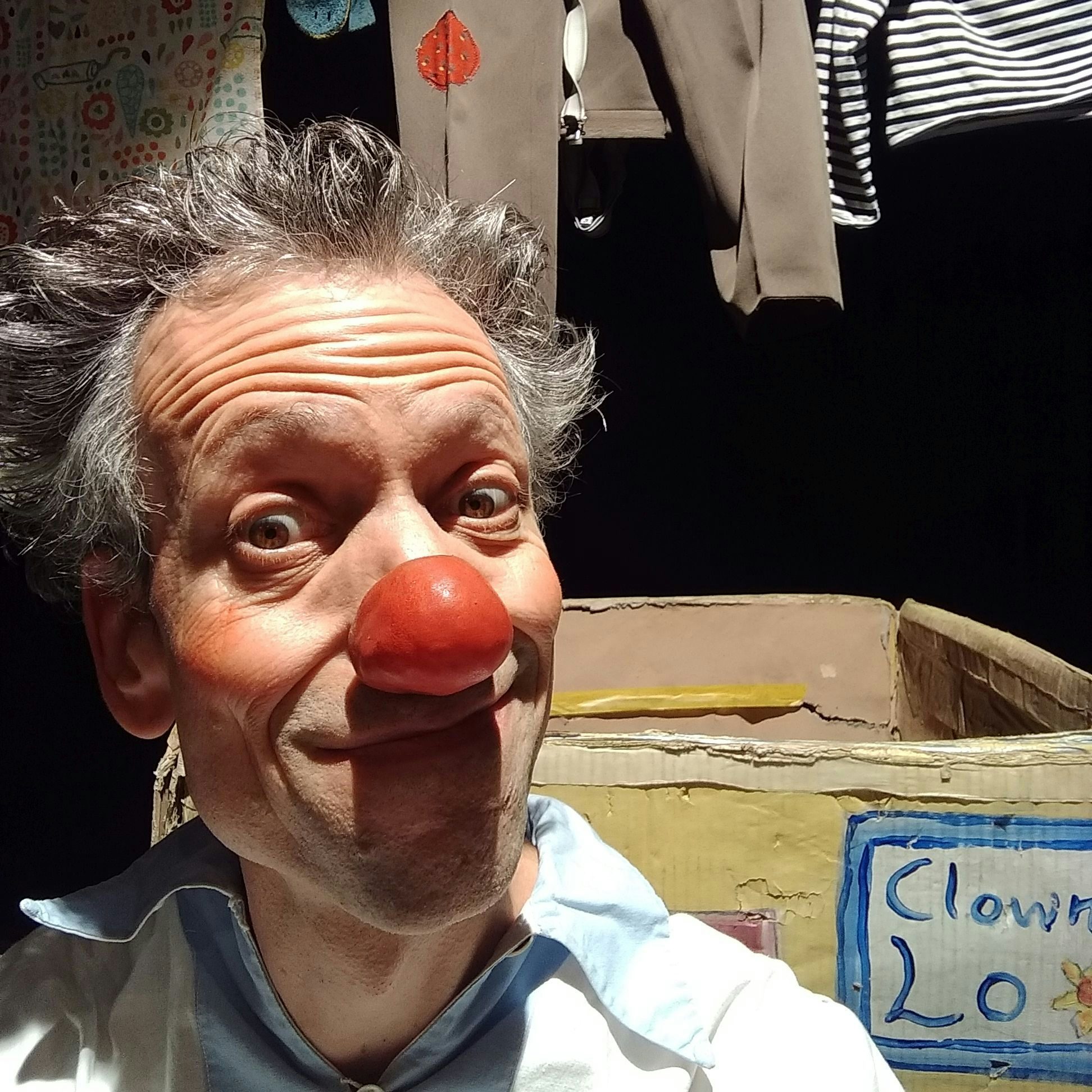 Ein Clown im Karton